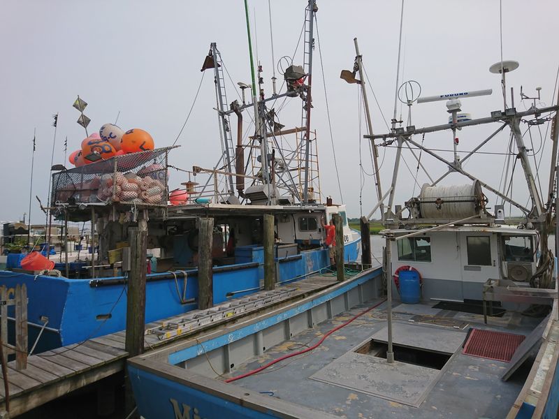 Hooked Up Seafood, Manahawkin
