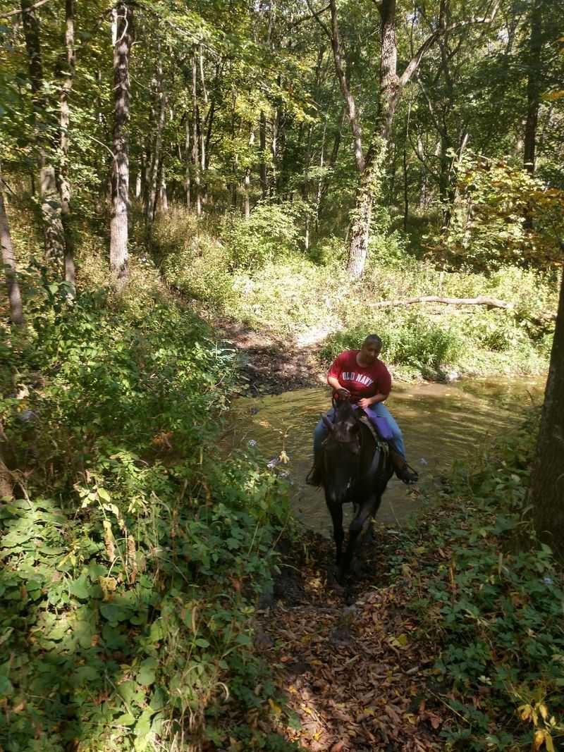 Horse Trails and Room to Ride Horse Trails and Room to Ride
