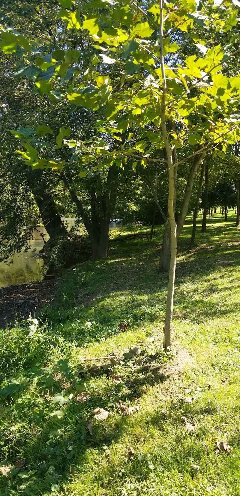 Horseback Riding Trails And Wide Open Meadows