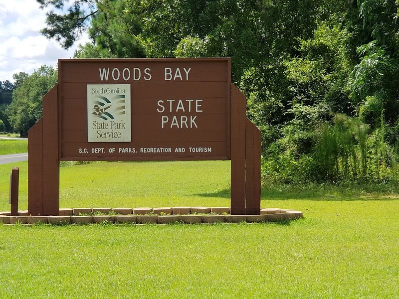 Hours, Fees, And Planning Your Visit
