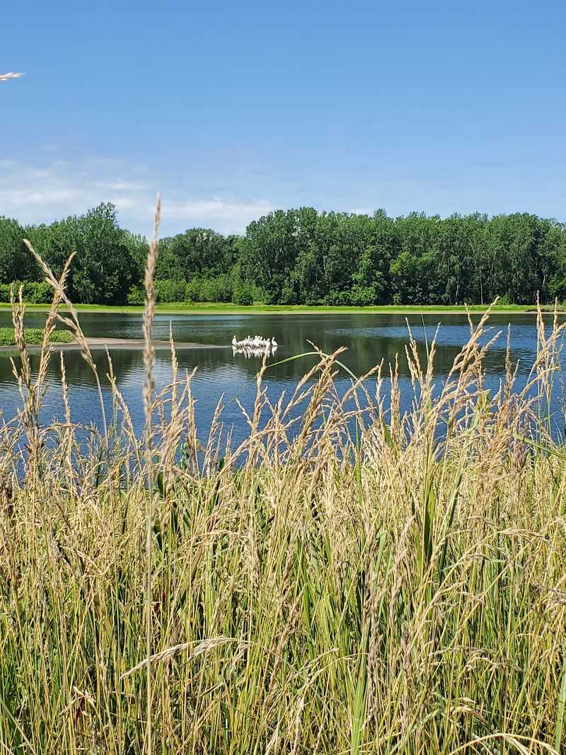 How The Wetlands Came To Be How The Wetlands Came To Be