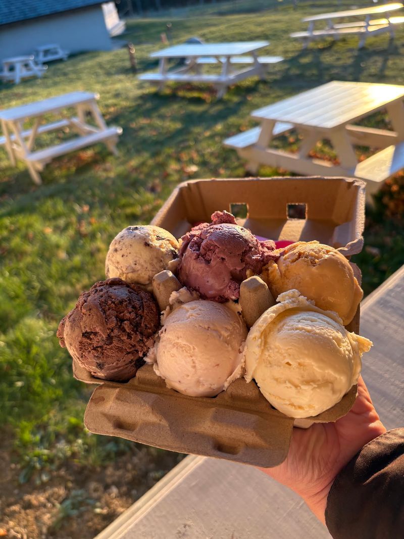 Ice Cream That Tastes Like the Milk Itself