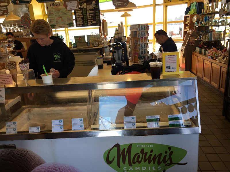 Ice Cream With a Sea Lion Soundtrack Ice Cream With a Sea Lion Soundtrack