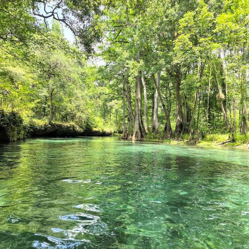Ichetucknee River, Fort White, Florida