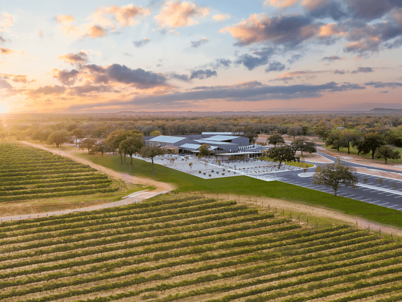 Invention Vineyards, Fredericksburg, TX Invention Vineyards, Fredericksburg, TX