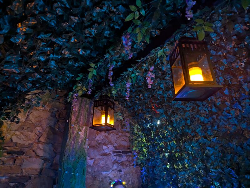 Is the Enchanted Evening Worth It