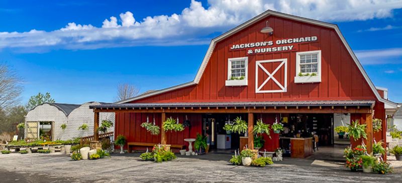 Jackson's Orchard & Nursery, Bowling Green, KY Jackson's Orchard & Nursery, Bowling Green, KY