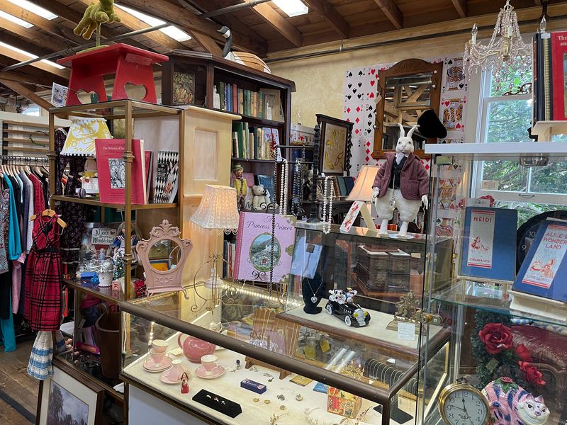 Jewelry, Lockets, And Small Wonders In The Cases Jewelry, Lockets, And Small Wonders In The Cases