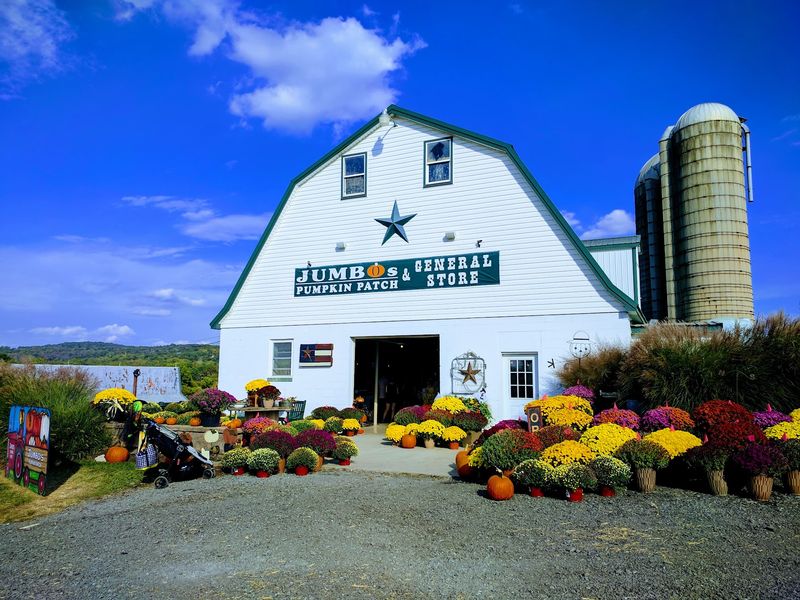 Jumbo's Pumpkin Patch, Middletown, MD