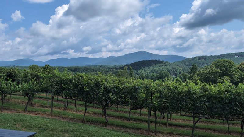 Kaya Vineyard and Winery, Dahlonega, Georgia Kaya Vineyard and Winery, Dahlonega, Georgia