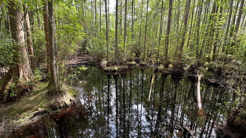 Kayaking And Fishing The Canoe Trail