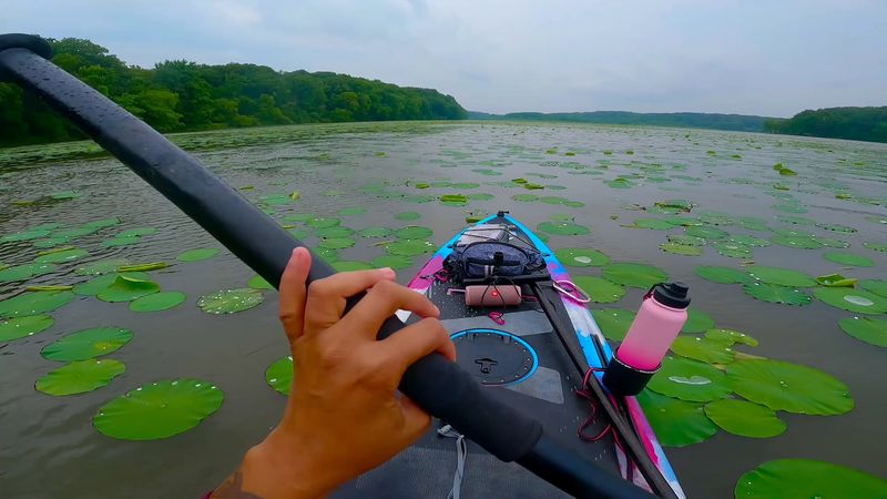 Kayaks And The Quiet North Fork