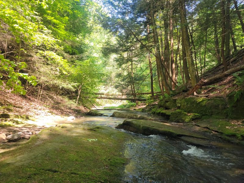 Kildoo Trail and Its Creekside Loop Kildoo Trail and Its Creekside Loop