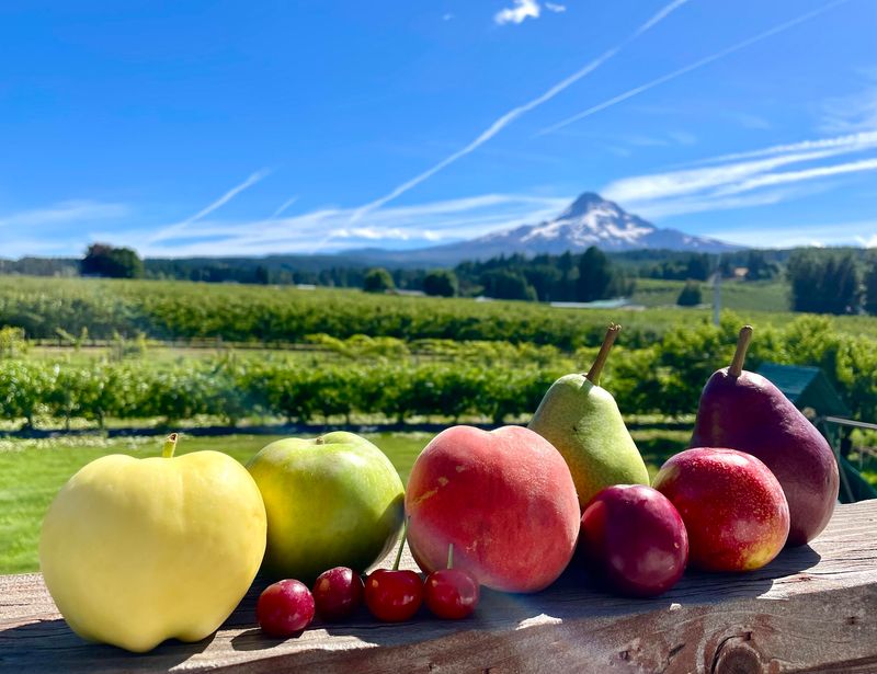 Kiyokawa Family Orchards, Parkdale, Oregon Kiyokawa Family Orchards, Parkdale, Oregon
