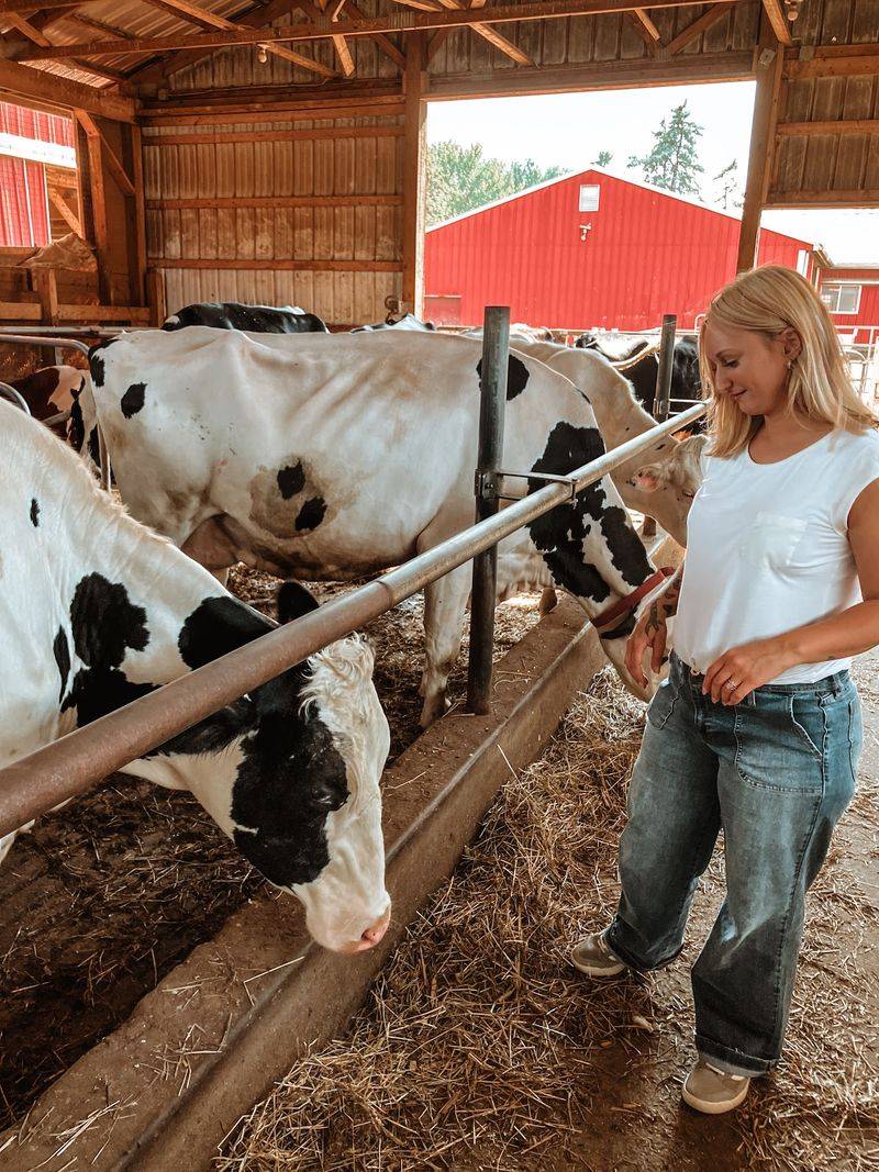 Klein Farms Dairy & Creamery, Easton, PA