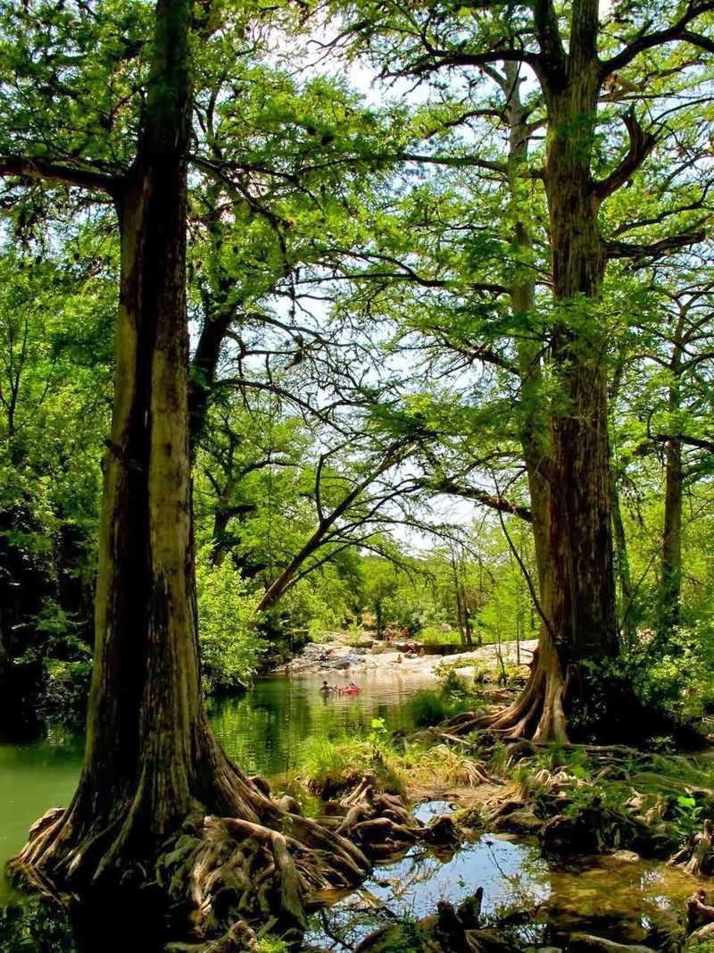 Krause Springs, Spicewood, TX