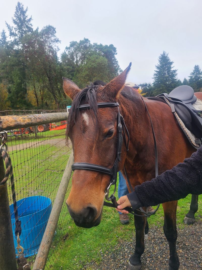 Kurtwood Farms, Vashon Island