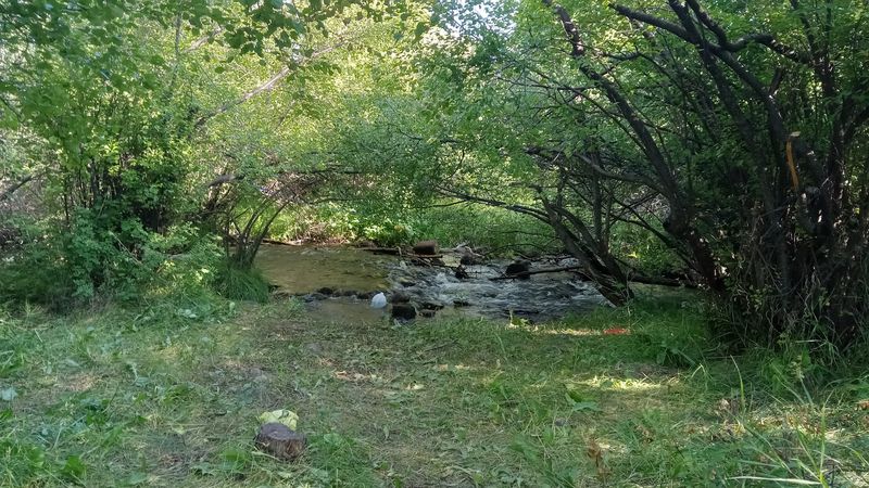 Lake Creek Campground, Westcliffe, CO