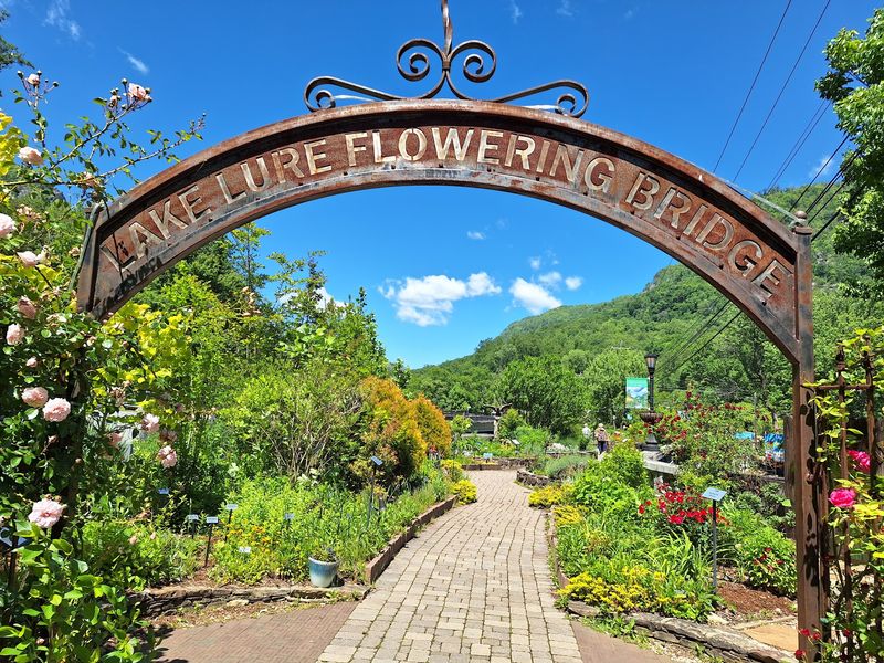 Lake Lure Flowering Bridge, Lake Lure, NC Lake Lure Flowering Bridge, Lake Lure, NC