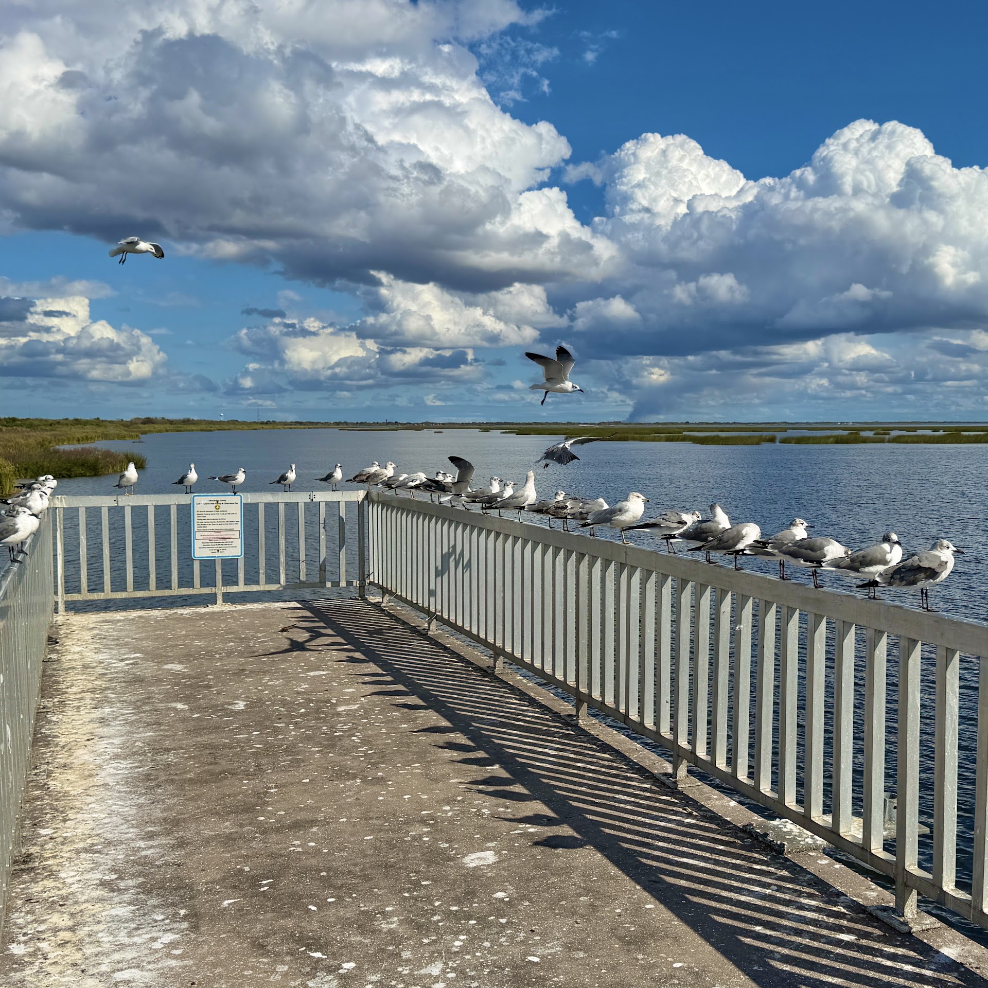 Lake Okeechobee, the Star of the Show