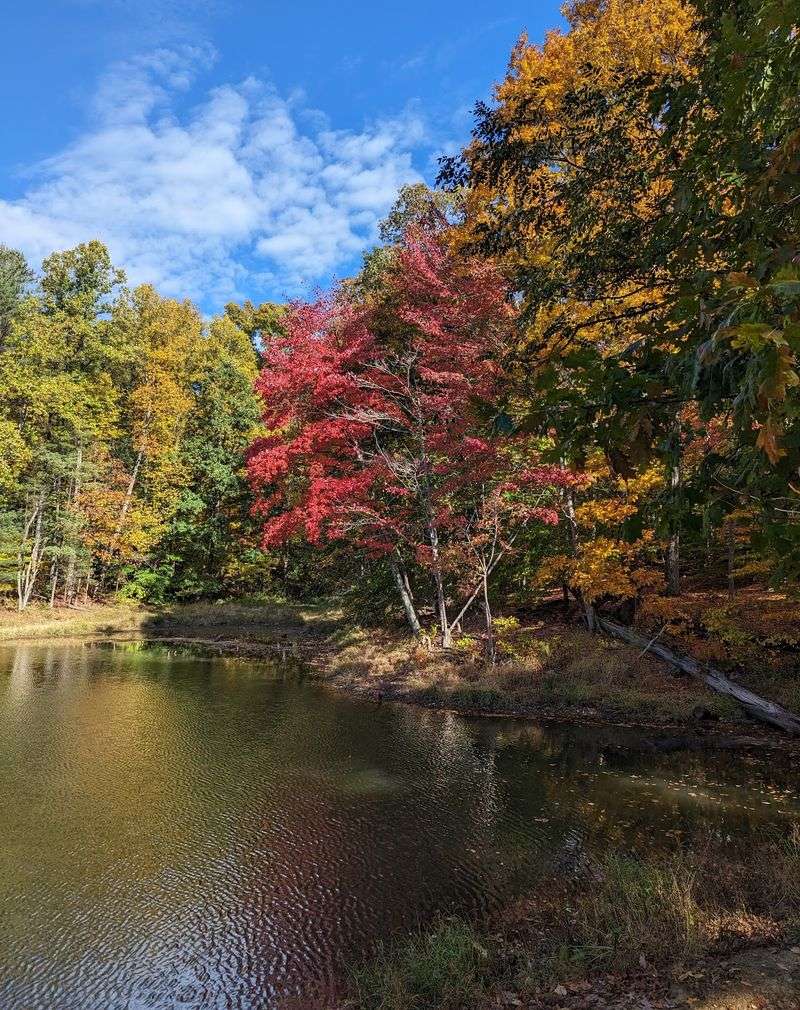 Lakes, Creeks, and Quiet Water Lakes, Creeks, and Quiet Water