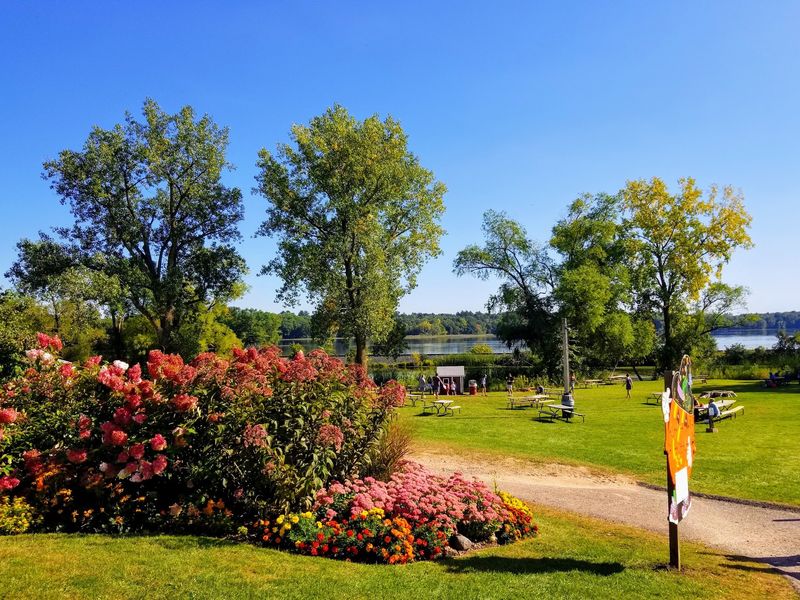 Lakeside Picnics And Live Music Lakeside Picnics And Live Music