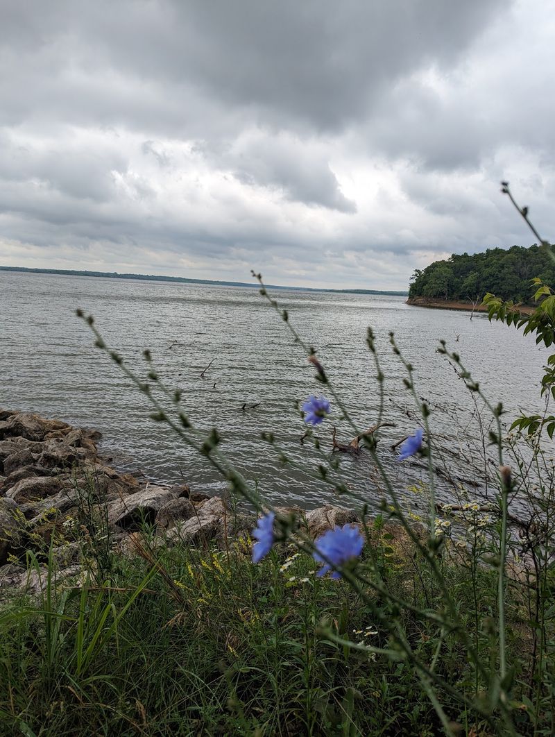 Lakeside Views That Steal The Show