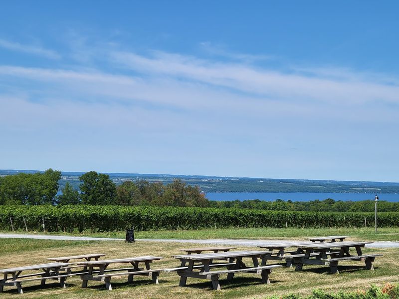 Lamoreaux Landing Wine Cellars, Lodi, NY
