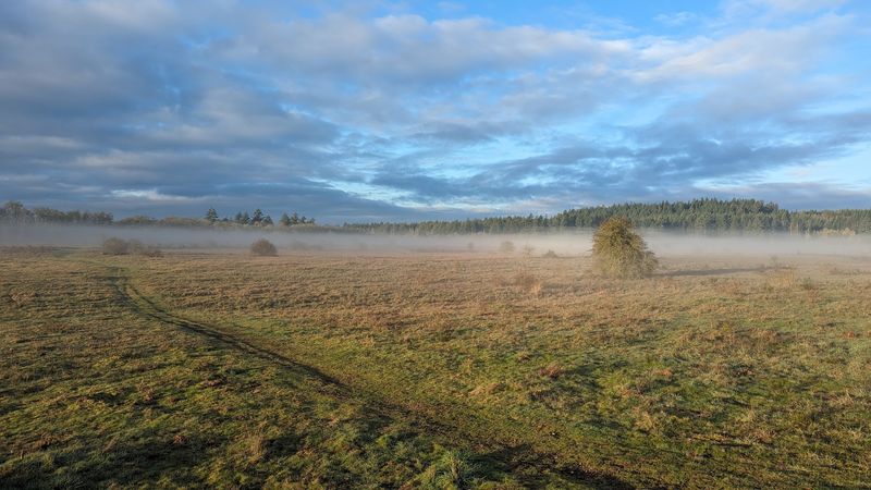 Land Set Aside for the Wild Ones