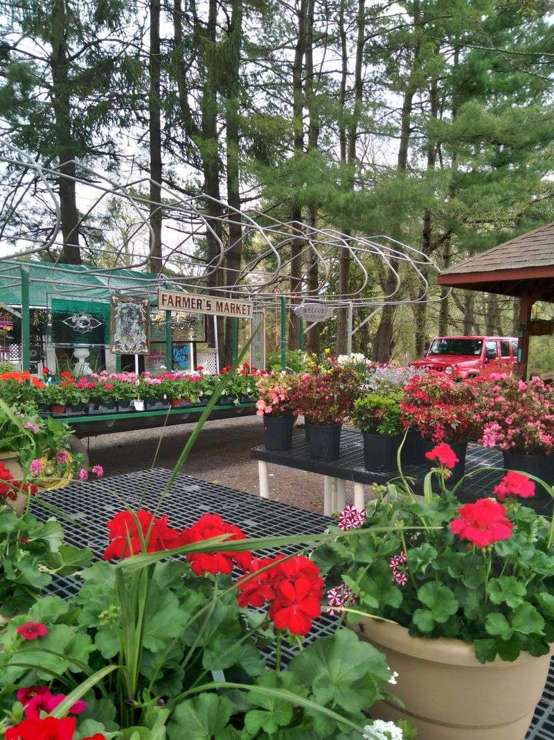 Lew's Farm Market, Moorestown, NJ