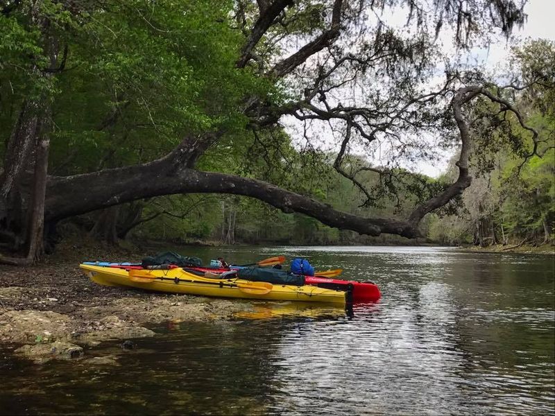 Life In Alachua County