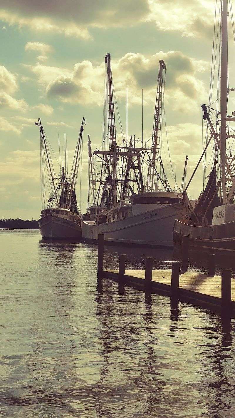 Life at the Pace of the Tide