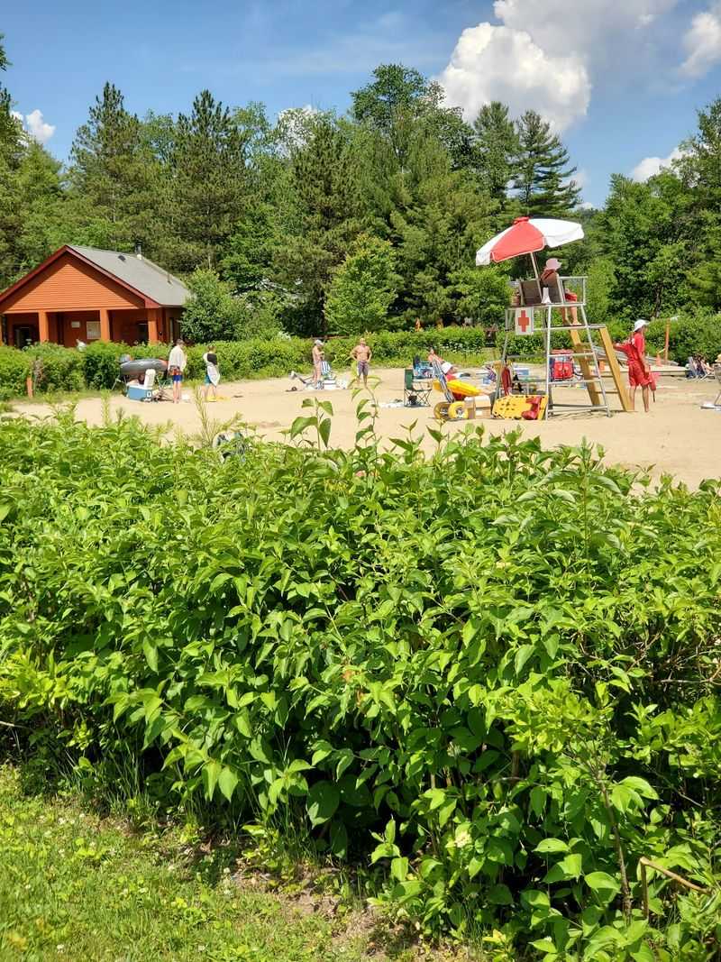 Lifeguards Keeping Watch All Summer Lifeguards Keeping Watch All Summer