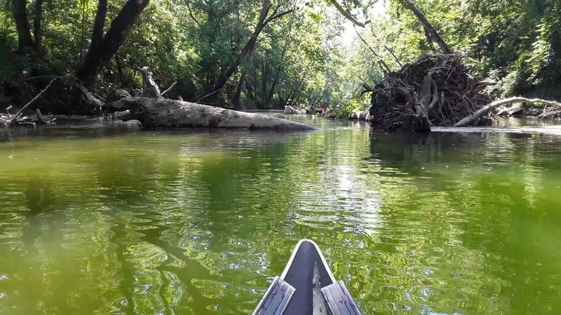 Limestone Bluffs And Wildlife Along The Banks