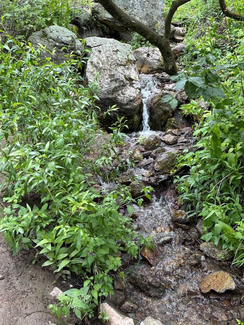 Little Waterfalls And A Spring-Fed Creek Little Waterfalls And A Spring-Fed Creek