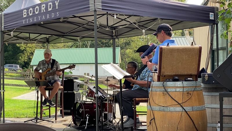 Live Music That Sets the Mood