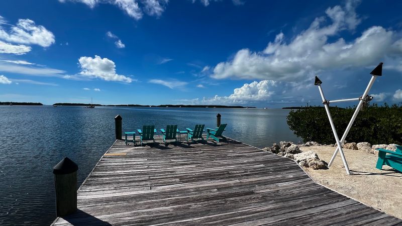 Live Music and Island Vibes Live Music and Island Vibes