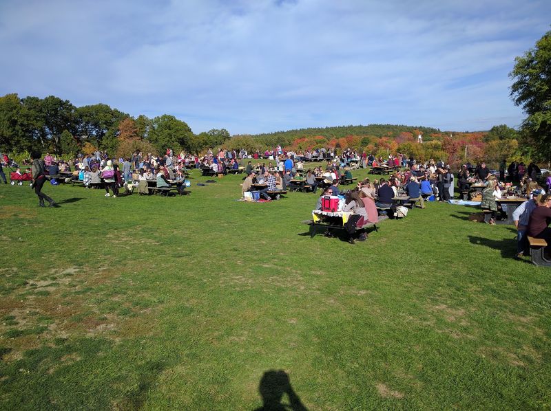 Live Music on the Lawn
