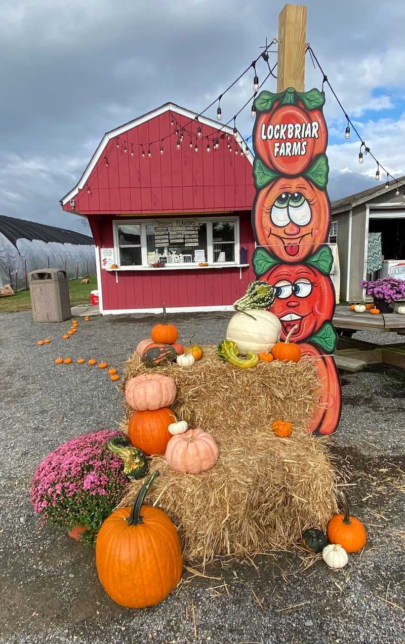 Lockbriar Farms, Chestertown, MD