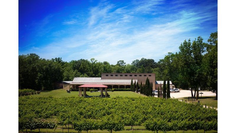 Los Pinos Ranch Vineyards, Pittsburg, TX