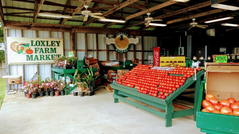 Loxley Farm Market, Loxley, AL Loxley Farm Market, Loxley, AL