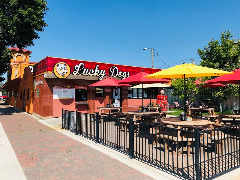 Lucky Dogs, Bemidji, MN Lucky Dogs, Bemidji, MN