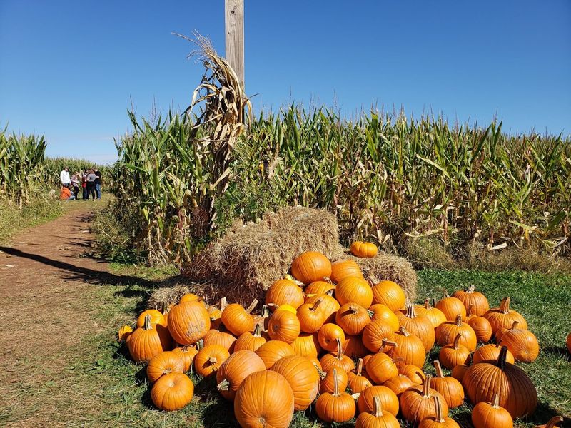 Magnolia Meadow Farms, Thurmont, MD