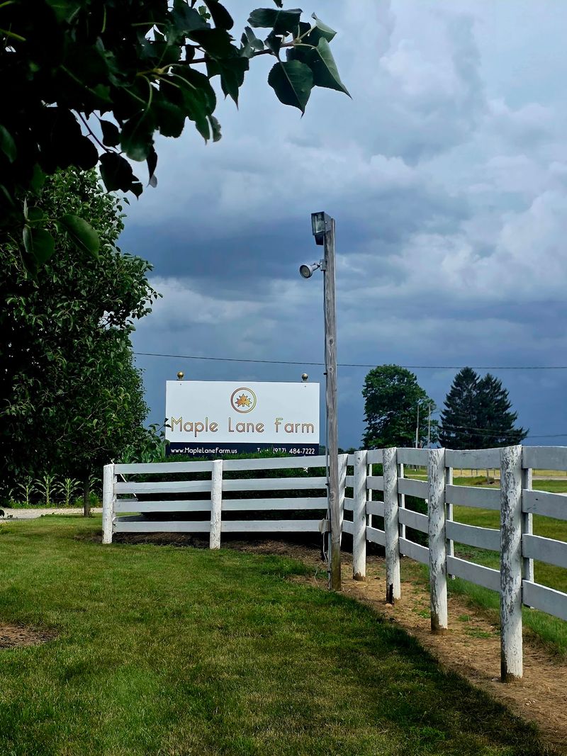 Maple Lane Farm, West Liberty, OH