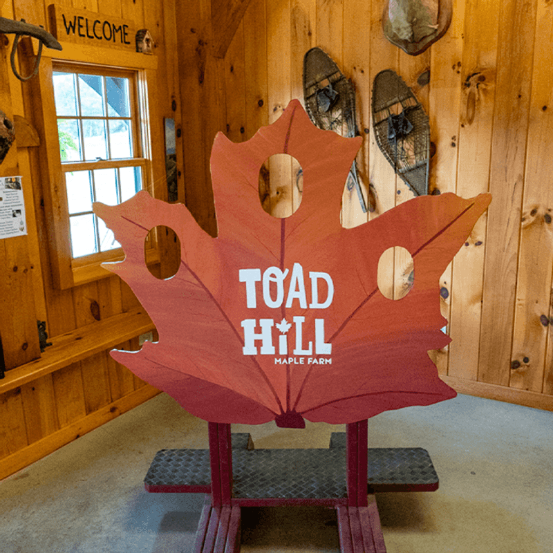 Maple Treats That Steal the Show