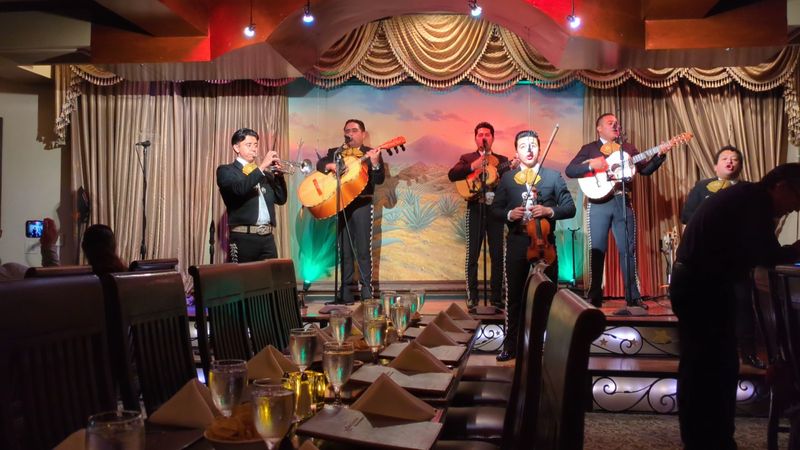 Mariachi Nights That Fill The Room