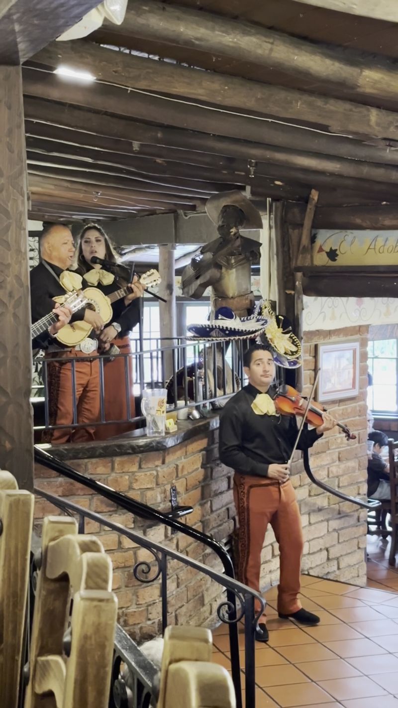 Mariachis, Harp, and Live Music Nights Mariachis, Harp, and Live Music Nights