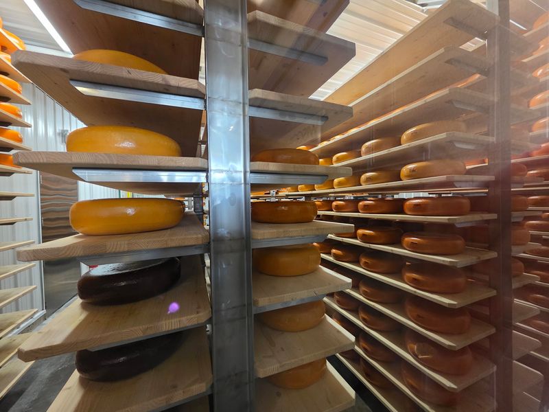 Marieke Gouda, Thorp, WI