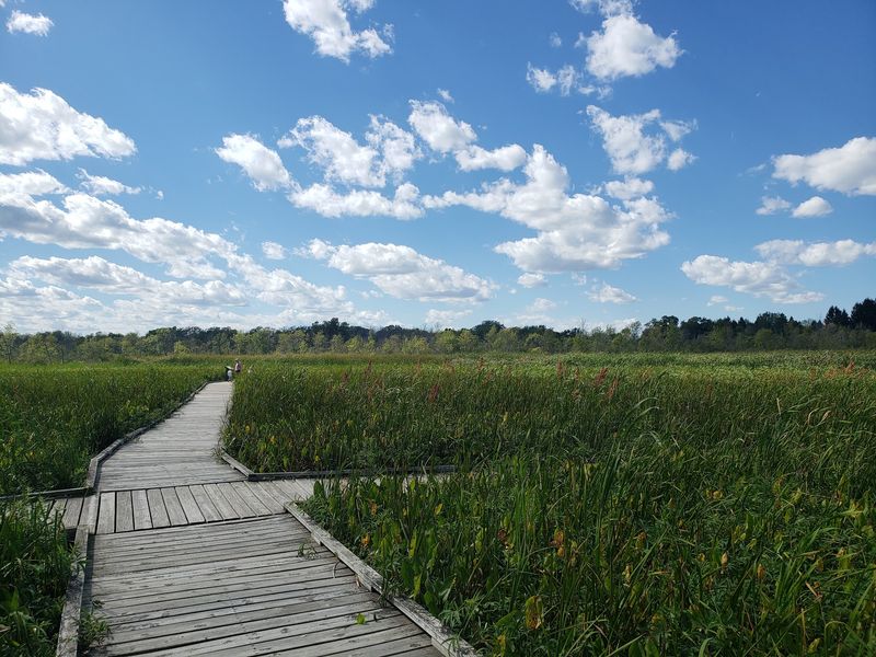 Marsh Boardwalks, Easy Loops and a Sandy Playground Marsh Boardwalks, Easy Loops and a Sandy Playground