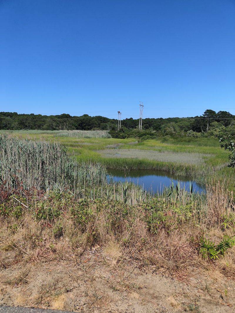 Marshes, Ponds, and Open Water